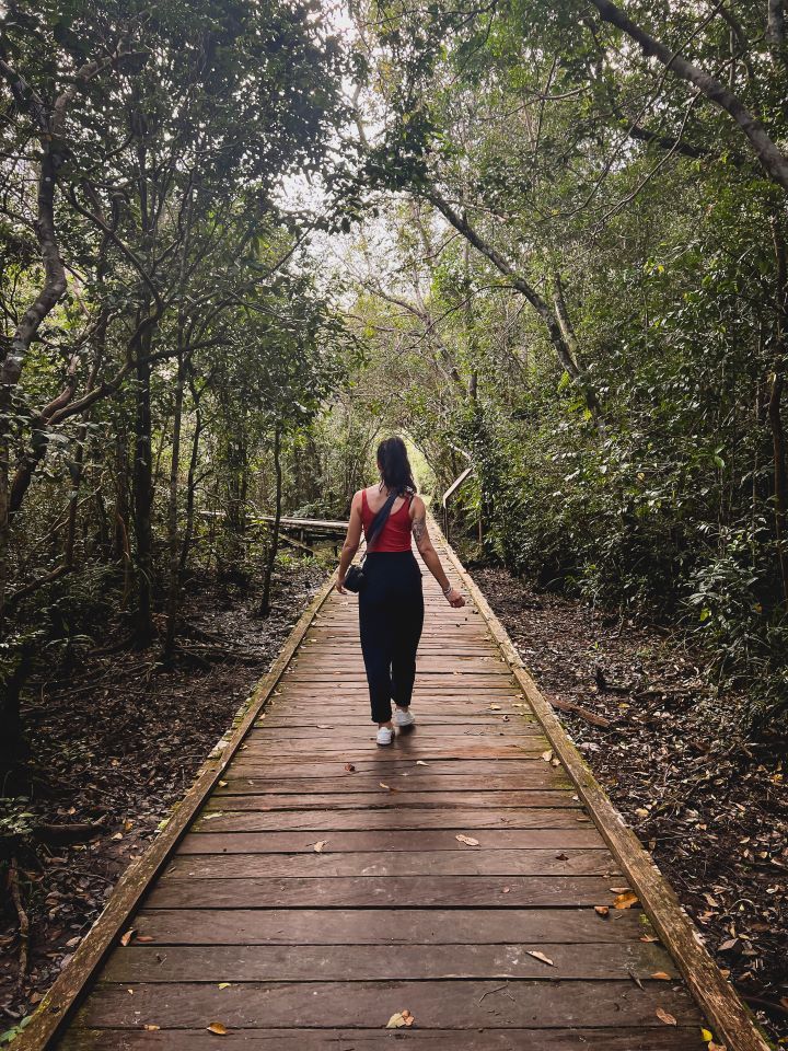 ruta por indonesia selva en borneo